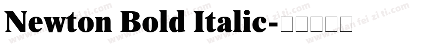 Newton Bold Italic字体转换
